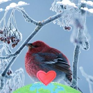 Meet your Posher, Geri